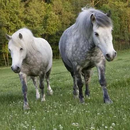 Farmarska Basta 2* Velký Újezd